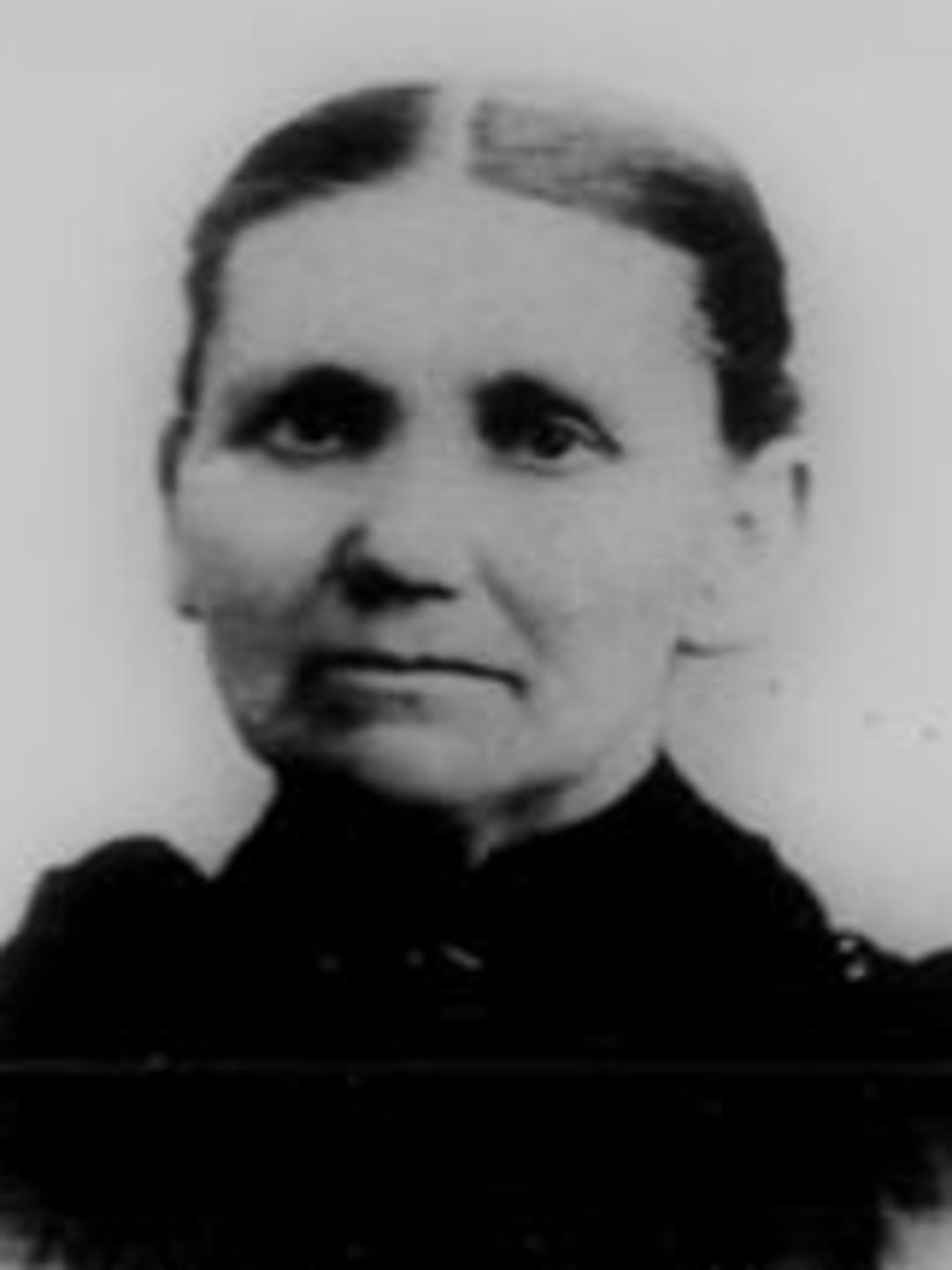 Nancy Ann Loy (1836 - 1920) Profile